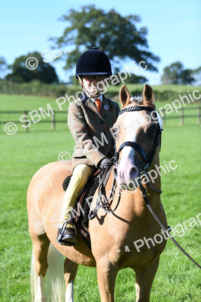 SBM_36864 - S18 - Novice & Newcomers Lead Rein Pony