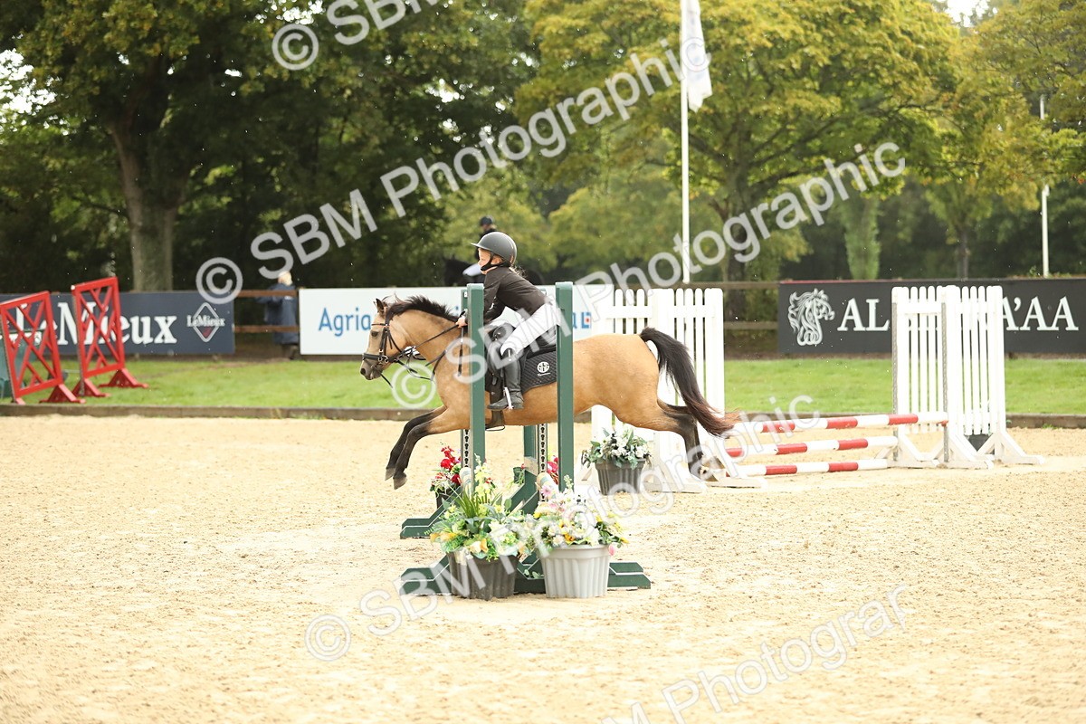 SBM_34275 - J60 Clear Round 50cm