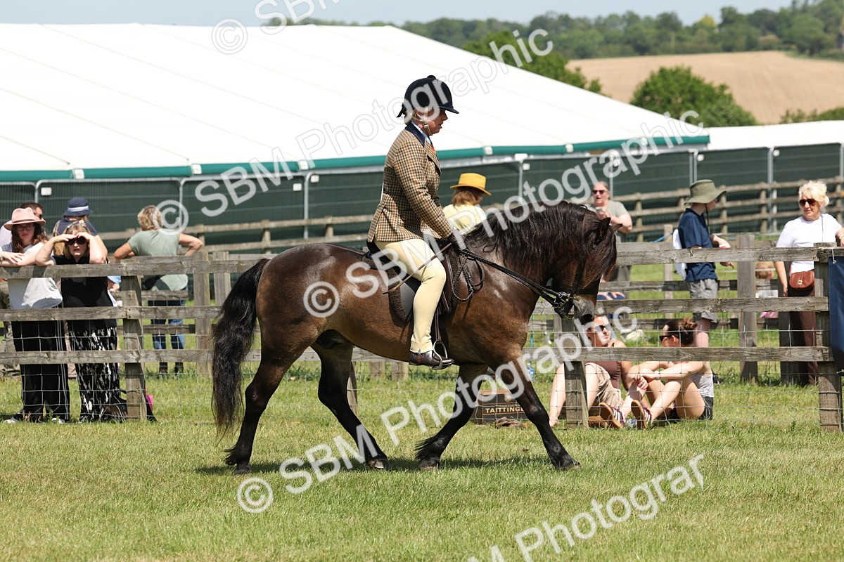 SBM_06806 - Class 26-30 - Mountain and Moorland Ridden