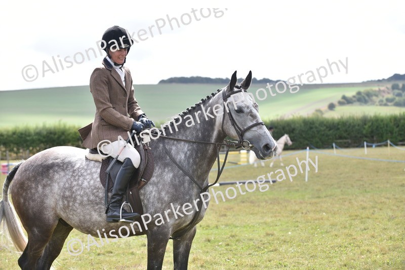 20250831-4064 - Class 13 - Working Hunter Horse or Pony