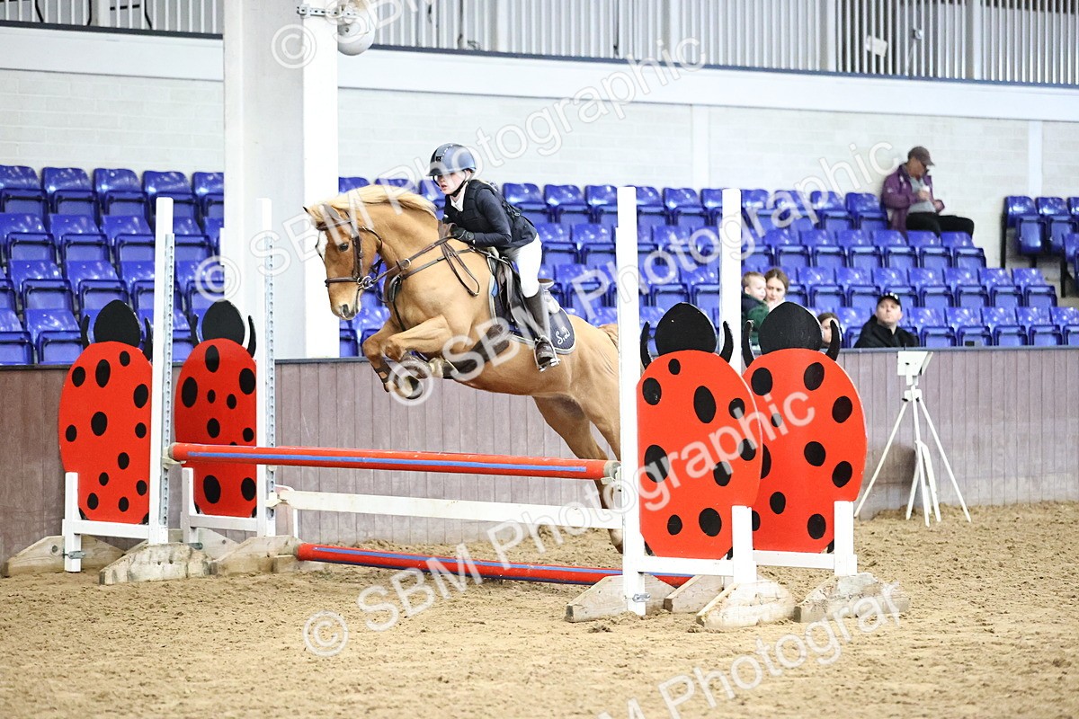 SBM_001466 - Class 9 - Pony British Novice 80cm