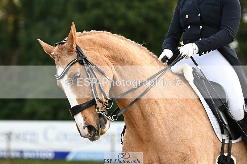 231110-153056-02230 - Cls 11 FEI PSG