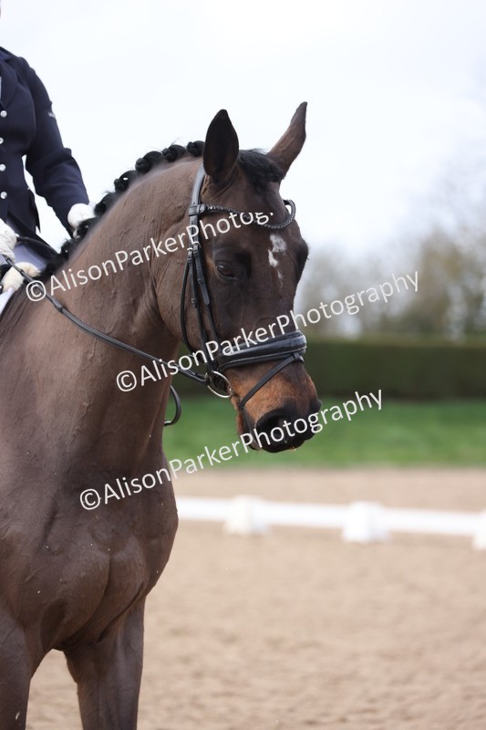 20260301-0886 - Class 5 - Elementary 4