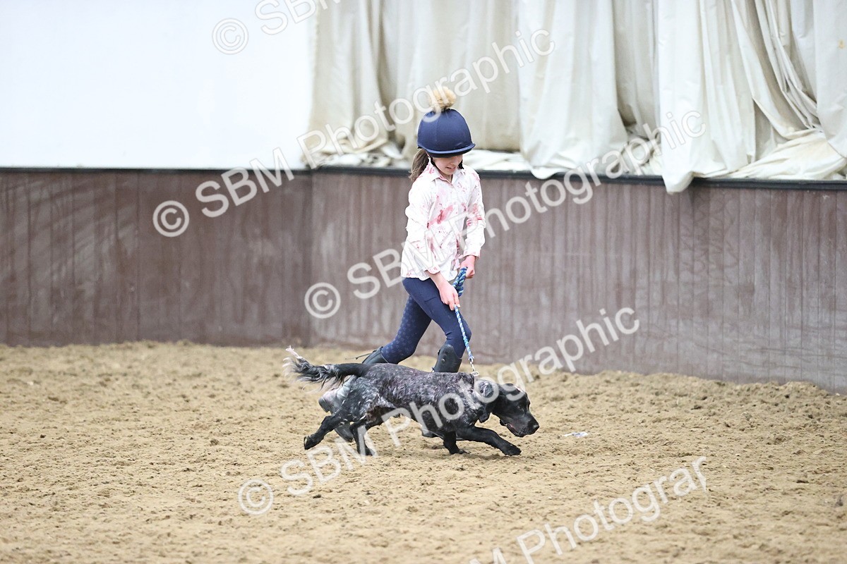 SBM_001442 - Class 3 - Horse & Hound 60cm