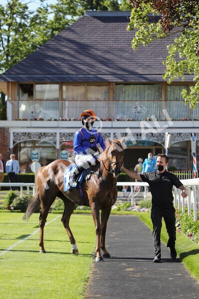 yr12062021r7-31 - Race 7 5.25pm Sky Bet Stakes