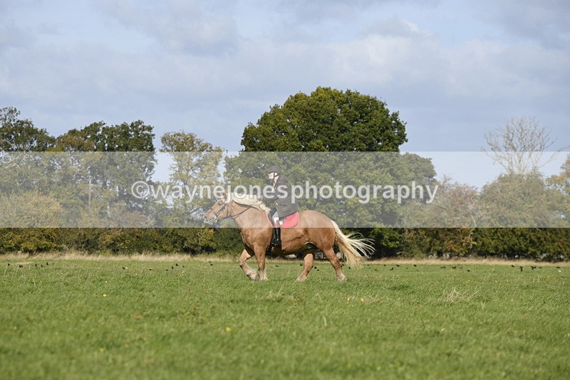 _DSC6350 - Time 11:23 to 12:05