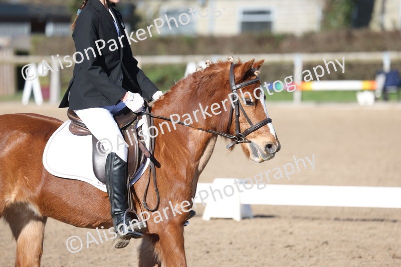 20260214-0273 - Class 3 - Prelim 2