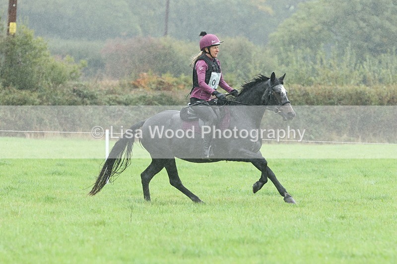 JPP_5104 - Class 1: 65cm : Showjumping