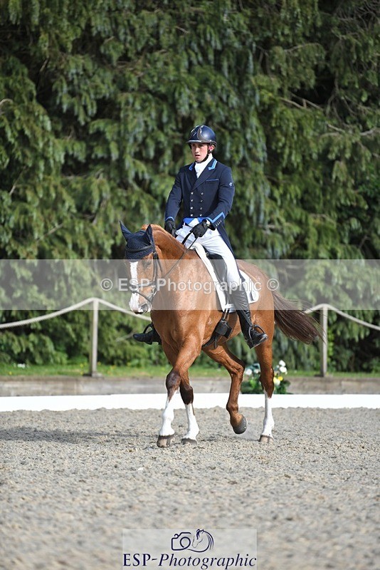 230525-175011-03609 - 131-FORTSIDE_COBRA-Freddie_Carden-WEDTrotUp+DR