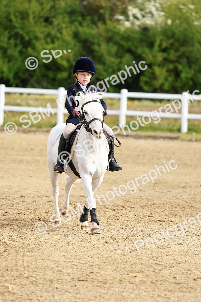 SBM_006451 - Class 1 - 40cm