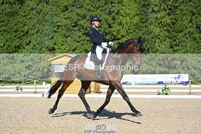 230526-171806-07563 - 262-TREAMBLE-Finn_Healy-WEDTrotUp+DR