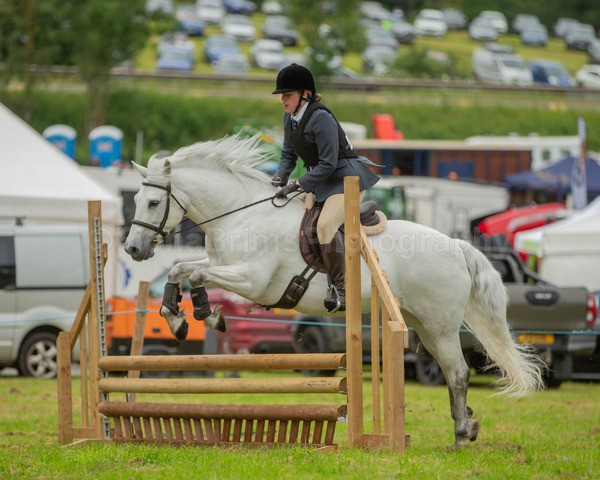 Dunblane show-406 - Dunblane and Doune Show Ring 1
