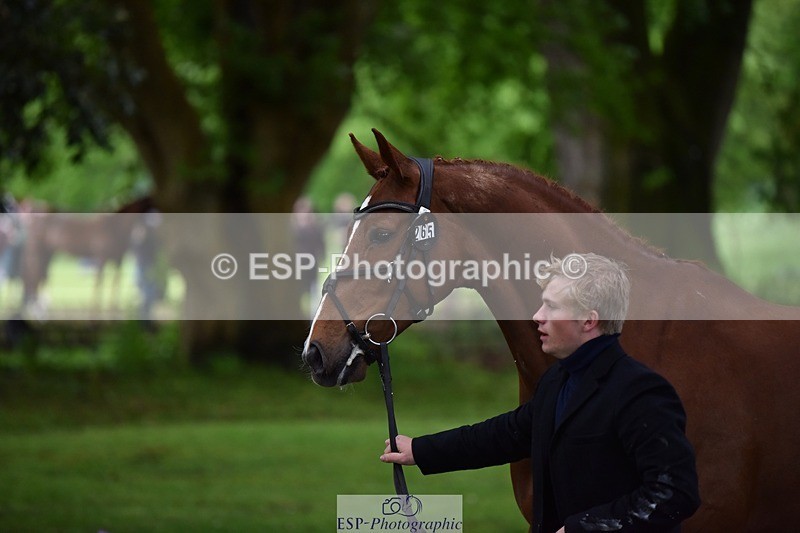 240522-163922-01066 - 265-GREANNANSTOWN_MONBEG_JOE-Finn_Healy