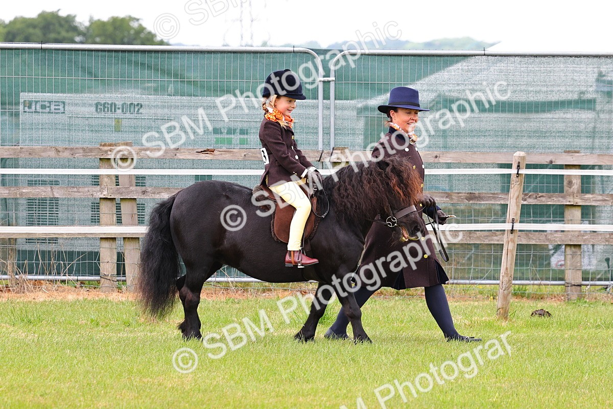 SBM_08166 - Class 42-43 - LIHS BSPS Heritage Working Sports Pony
