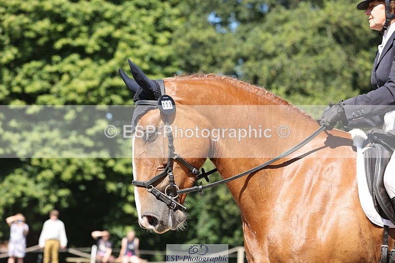 240719-103713-00749 - 223-Deborah_Randall-Sandy's_Bertie