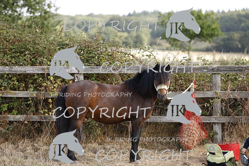 _R6A0814 - GENERAL PHOTOS