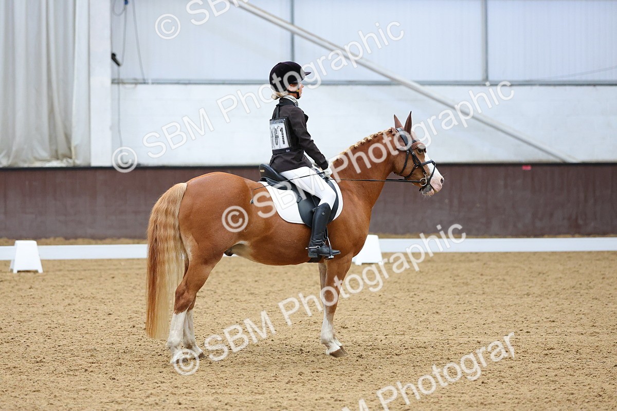 SBM_002974 - Novice