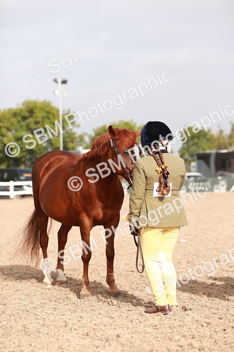 SBM_09938 - Class 203 Young Handler, 10 years and under