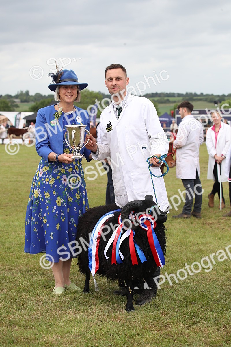 SBM_07893 - Grand Parade