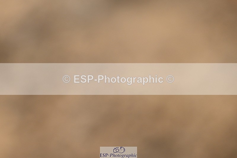 251004A-140732-01443 - Classes 6 & 7 60cm