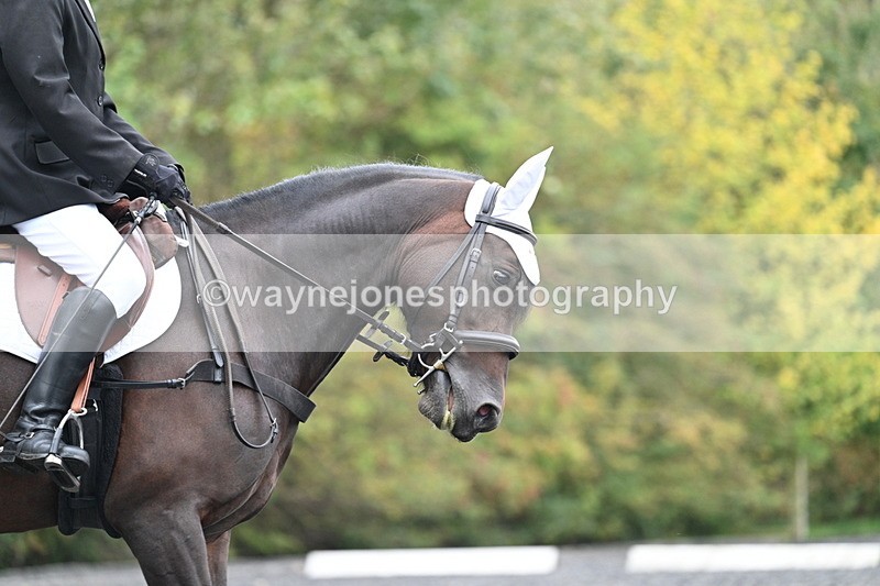 WJ7_3038 - Time 09:00 to 09:35