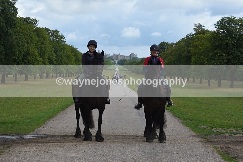 TT3_8950 - Time at Crossing 09:22 to 11:26