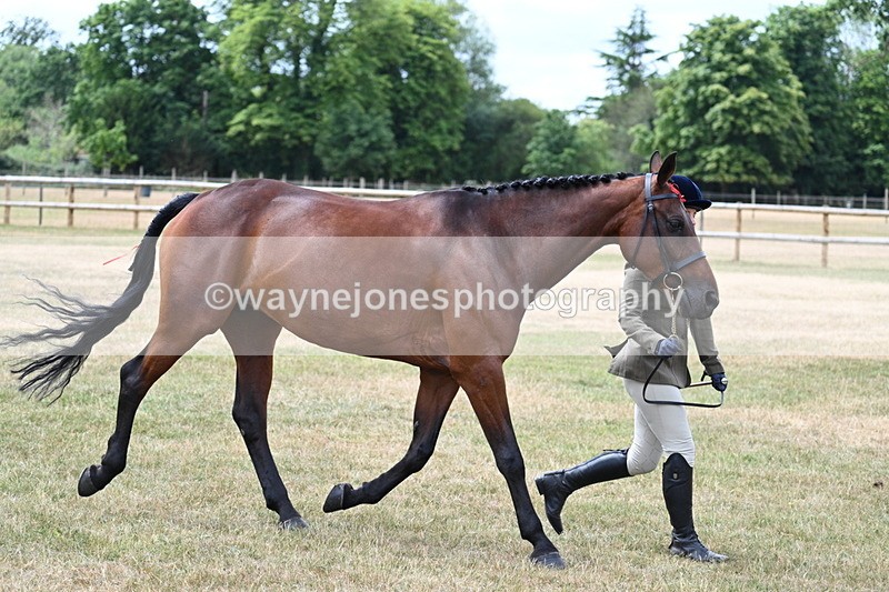 WJ7_1909 - Class 4a Prettiest Mare 14.2hh and over hand