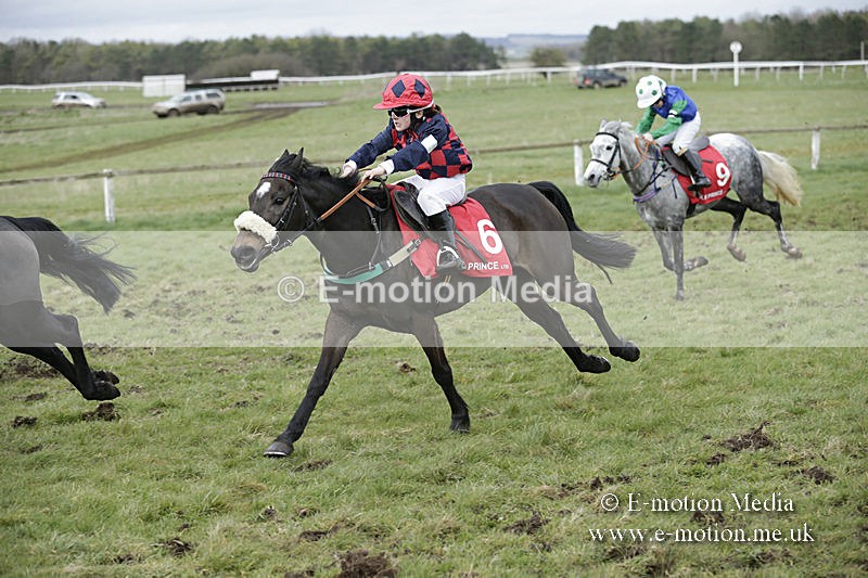 PtP 150320 0769 - New Forest Point-to-Point Larkhill 15/03/20