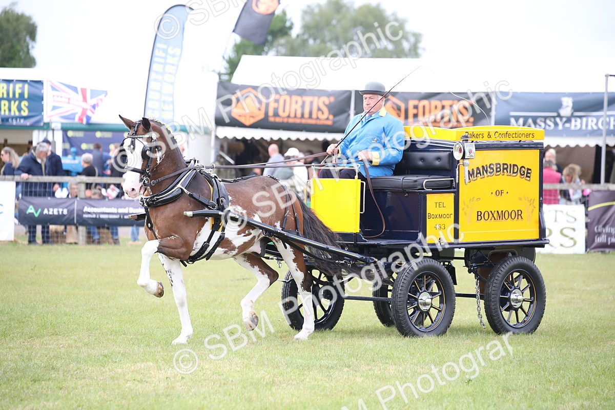 SBM_06997 - Class 16 - Light Trade