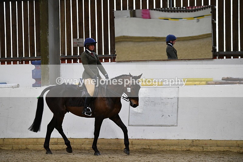 WJ5_7998 - Class 13 Ridden Part Breed