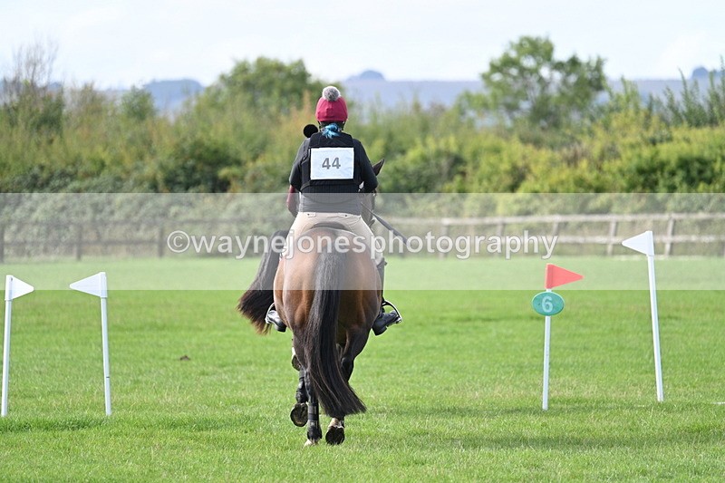 WJ7_8289 - 60cm Pairs