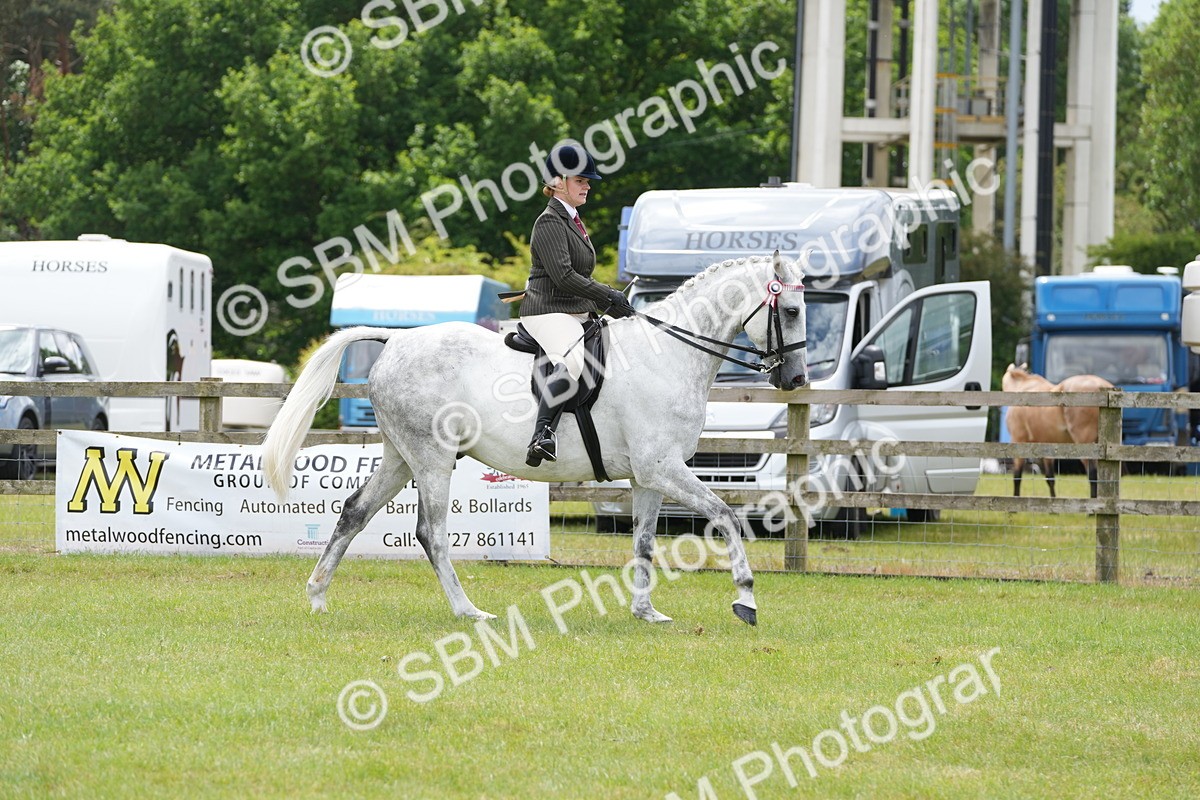 SBM_16154 - Class 105-106 - RIHS Riding Horses