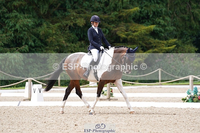 240721-113320-07833 - 124-Sophie_Savage-Two_Tone_Ted