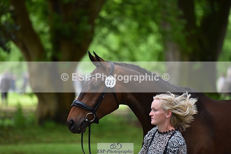 240522-165354-01237 - 227-FIREBALL_III-Oda_Christine_Lippestad