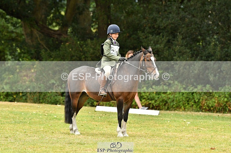 250820A-111535-04975 - 11am to 12