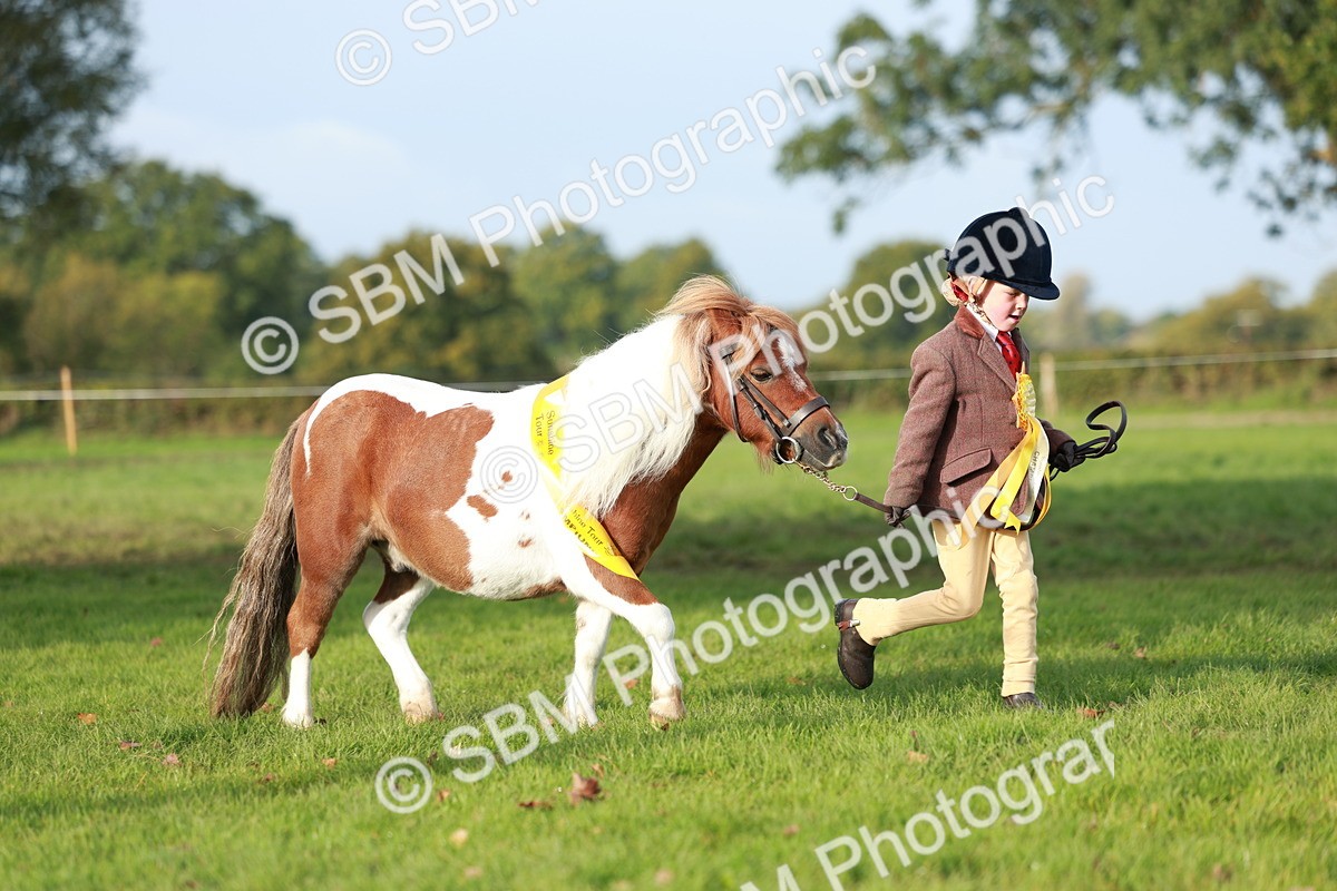 SBM_57103 - S38 - Starters Best Turnout