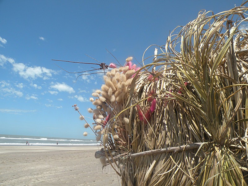  - Sea