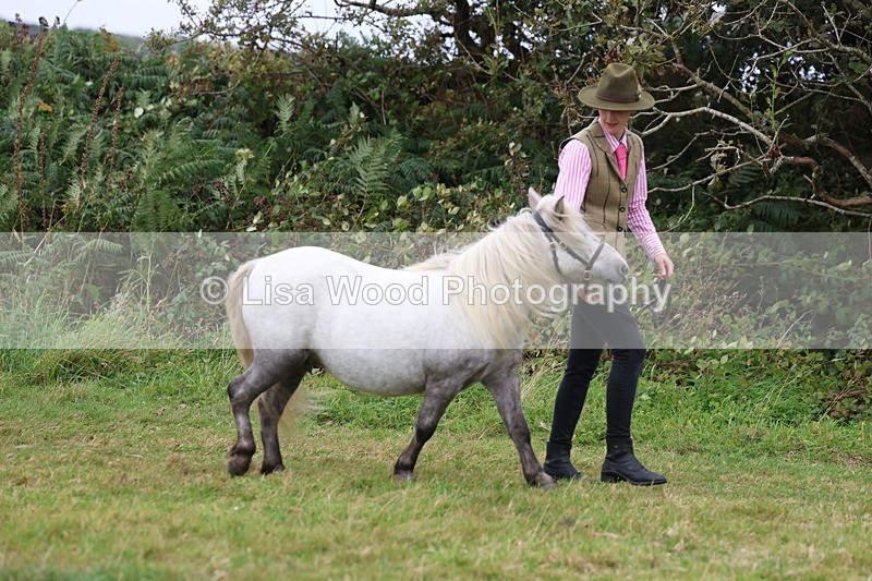 3E7A4323 - Class 15: Three Year Olds