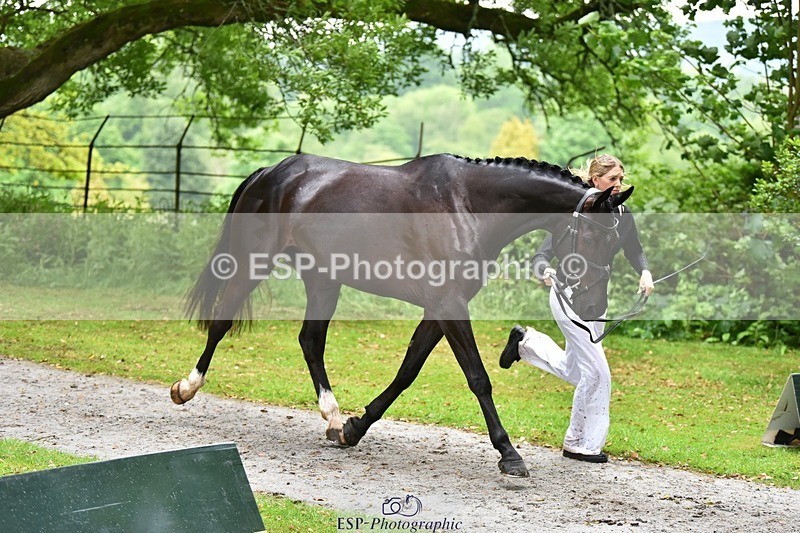 240522-163134-00977 - 209-COOLEY_DJANGO-Lottie_Royle