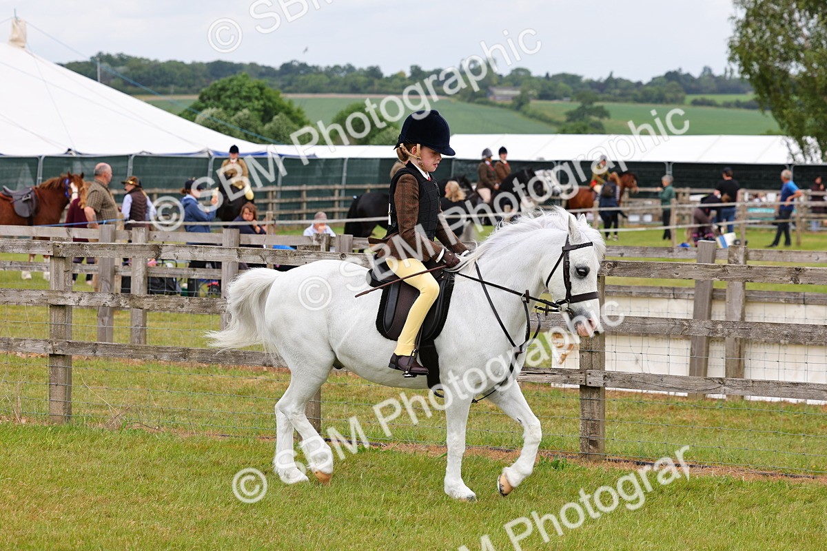 SBM_08524 - Class 42-43 - LIHS BSPS Heritage Working Sports Pony