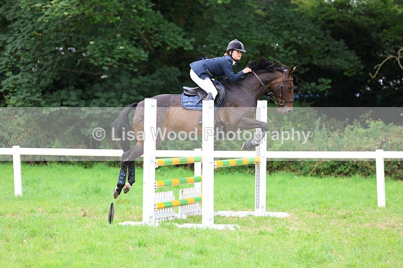 3E7A7186 - Class 5: Senior British Novice/90cm open