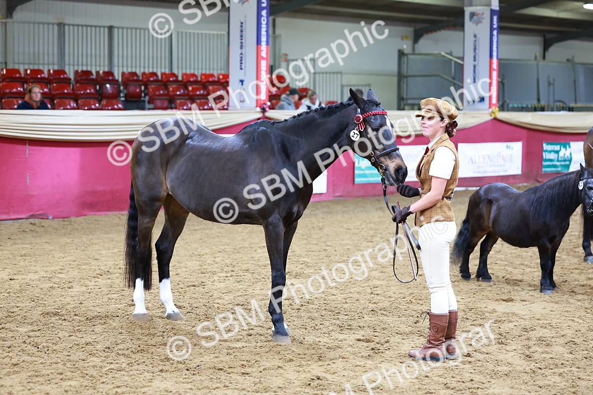 SBM_16220 - Class 901 - Sup Final - IH Diamond