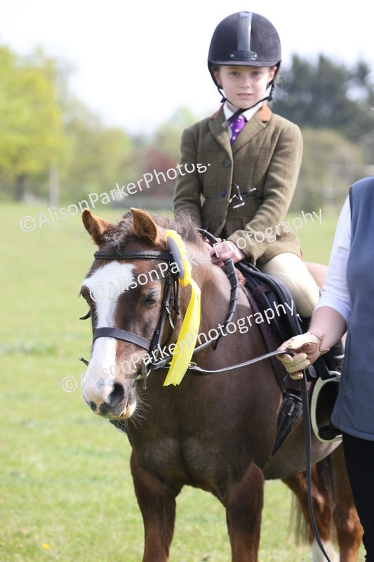 20260426-2621 - Class 31 - Leading Rein