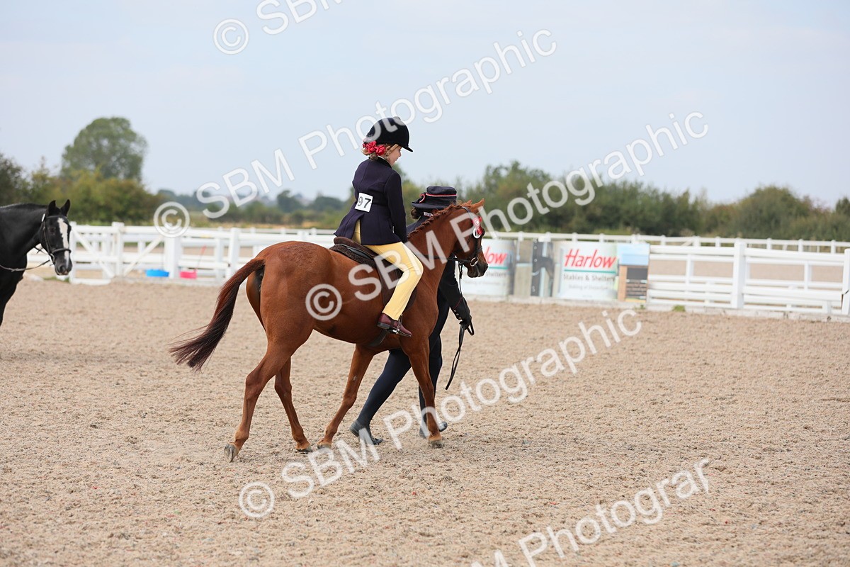 SBM_16898 - Class 314 Family Horse/Pony