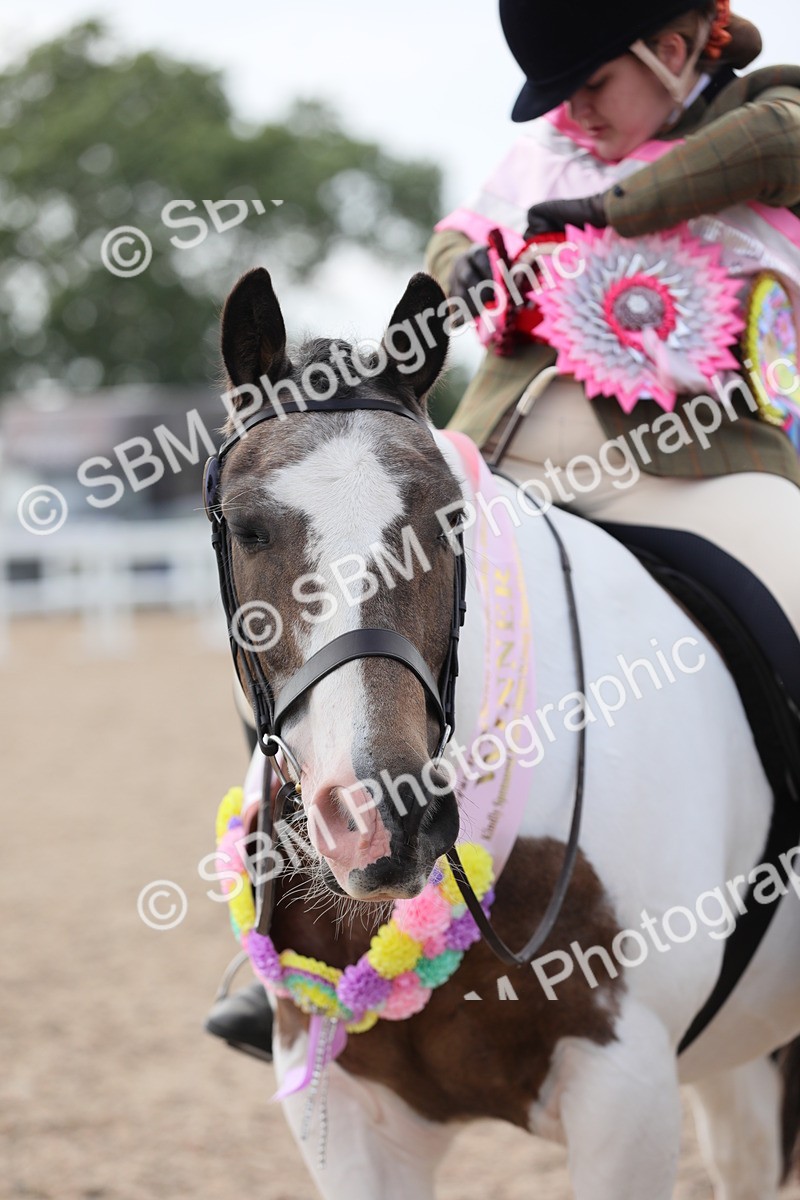 SBM_17040 - Class 314 Family Horse/Pony