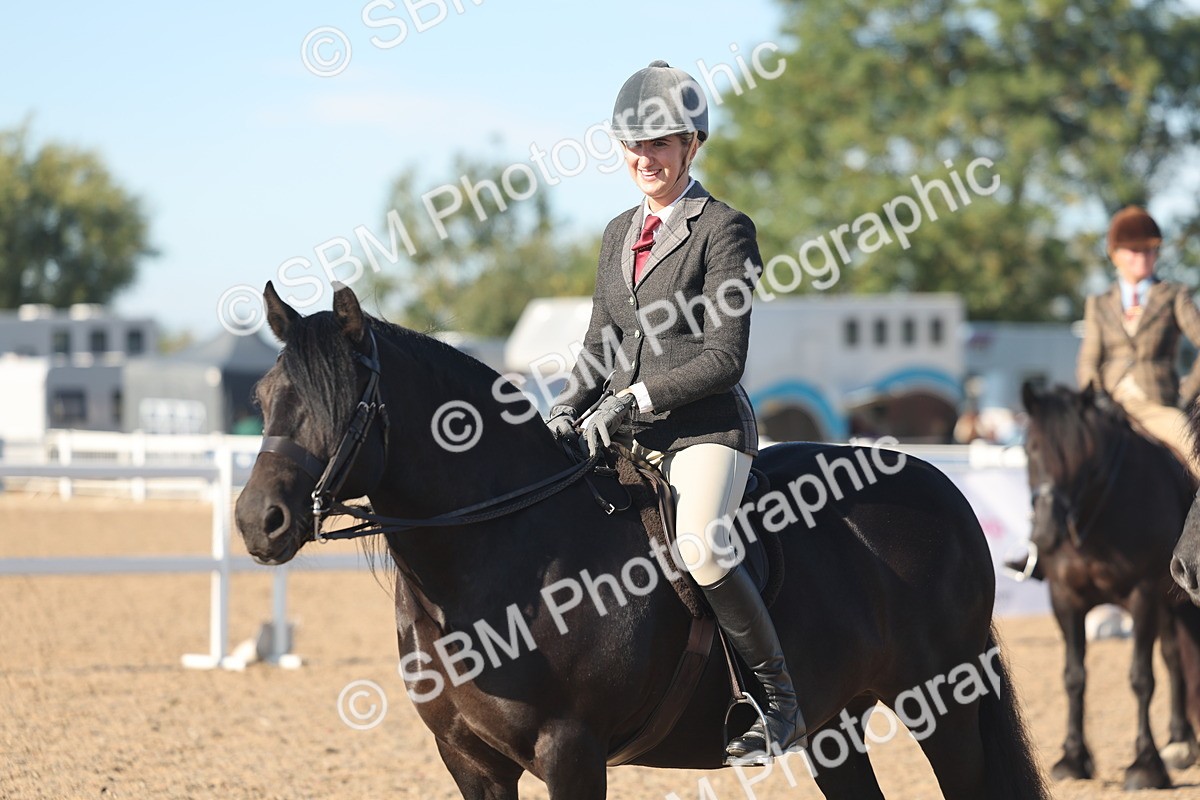 SBM_11100 - Class 302 - Ridden M&M Large Breeds