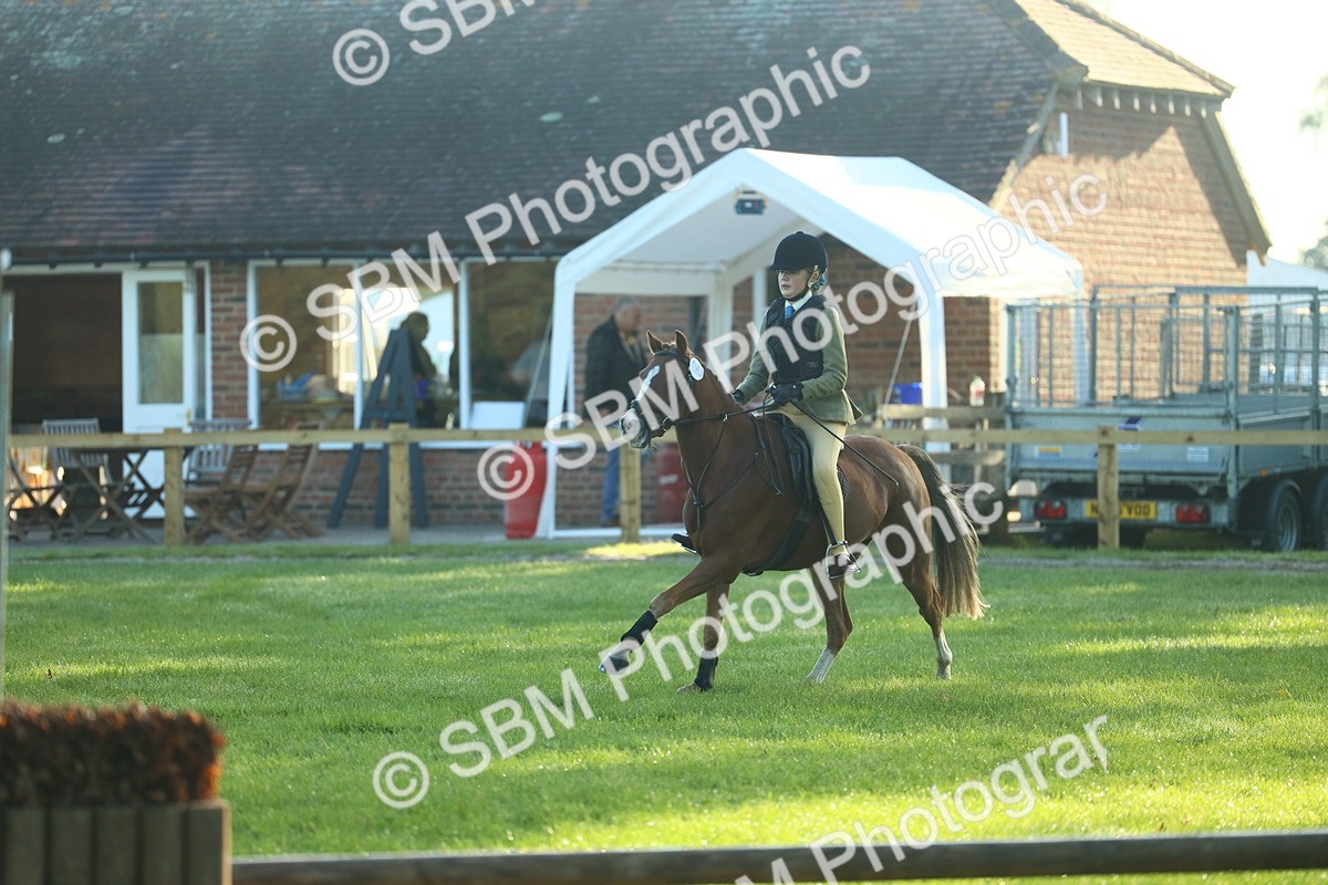 SBM_33389 - S28 - Nursery Stakes Working Hunter Pony