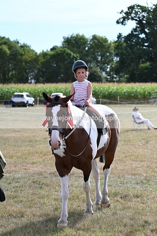 WJ7_7963 - George ...