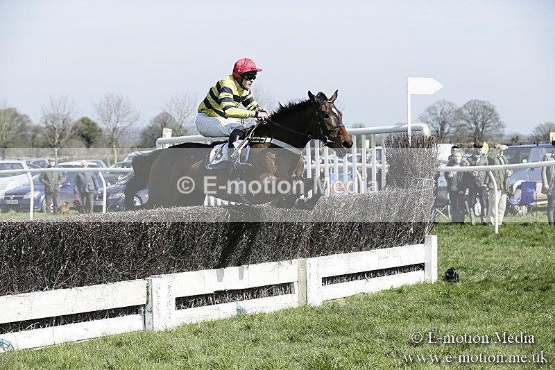 PtP 260317 61 - Mendip Farmers Point-to-Point Ston Easton 26/03/17