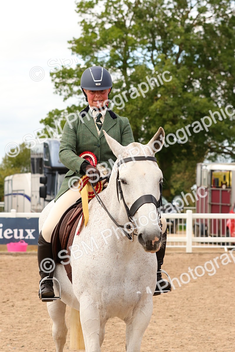 SBM_15583 - Class 214 - Ridden Show Cob